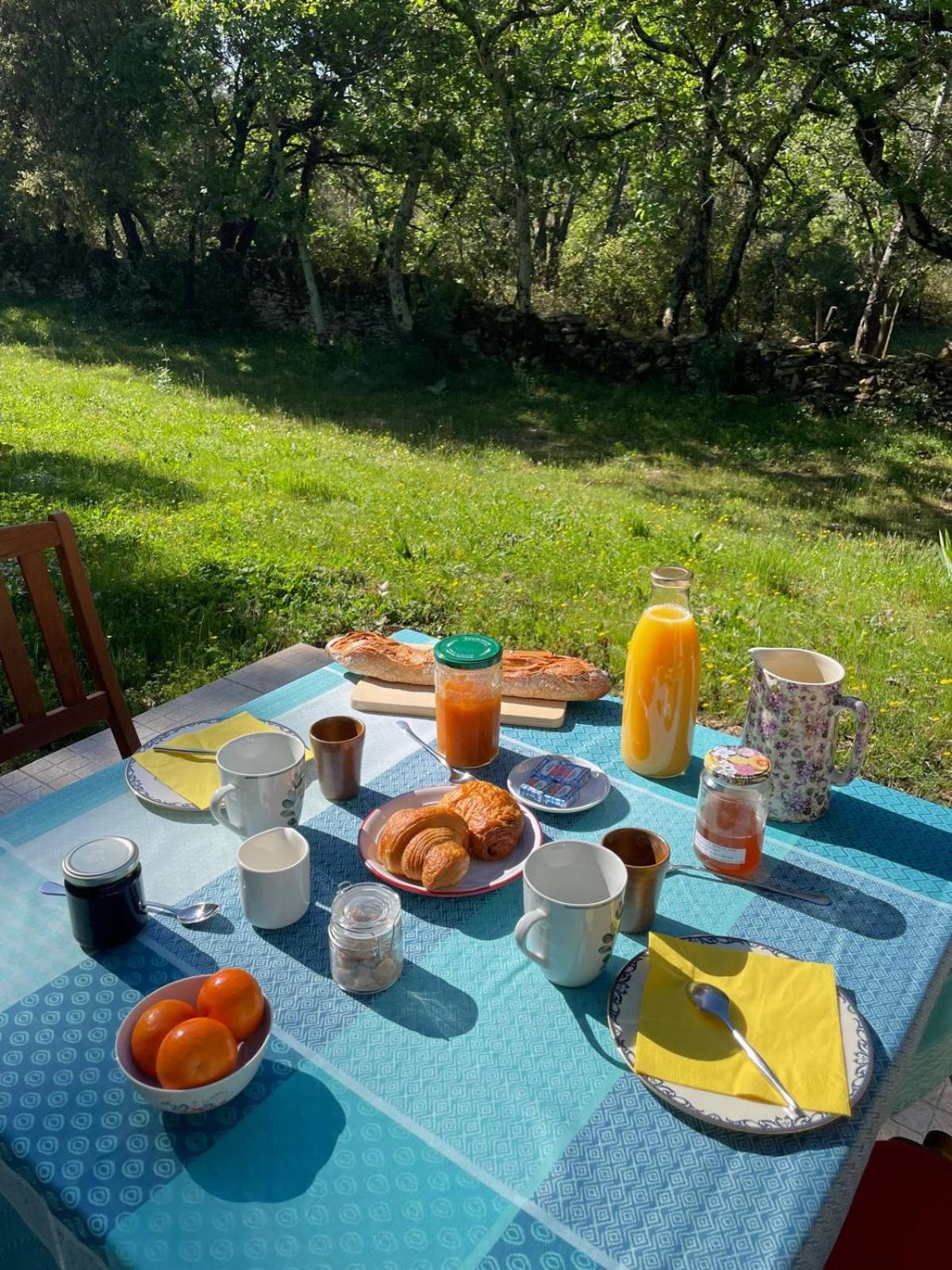 베르 퐁 뒤 가르 Les Marguerites B&B 외부 사진
